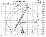 Leguan -  125